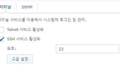시놀로지에 Let's Encrypt 와일드카드 인증서 적용하기