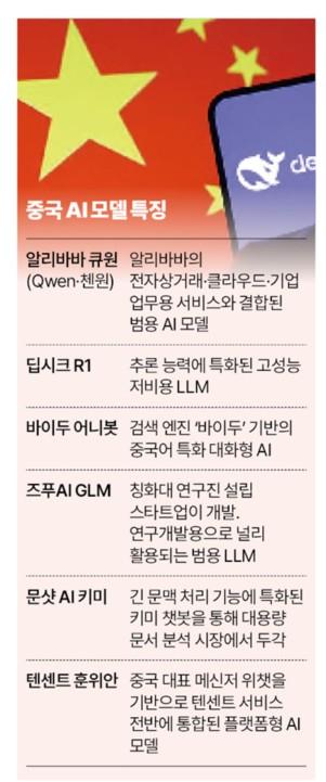 중국 AI 모델 특징
